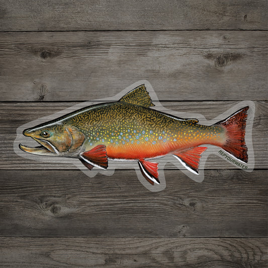 A sticker with a Brook trout