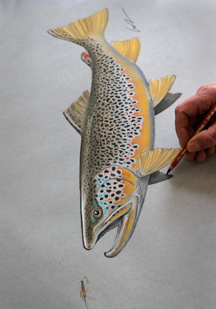 Brown Trout Love Fine Art Original