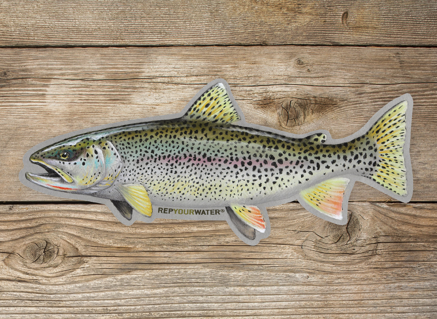 A wood background with a mockup of a coastal cutthroat sticker