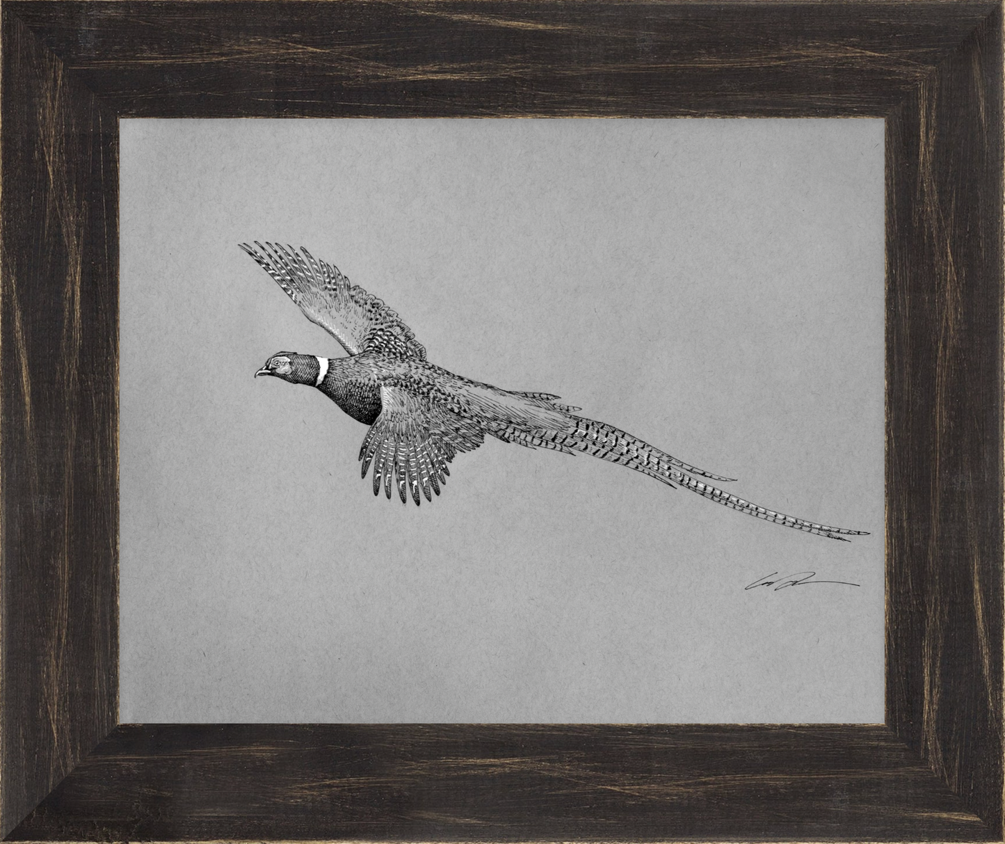 Pen and ink of flying pheasant, framed in black rustic frame