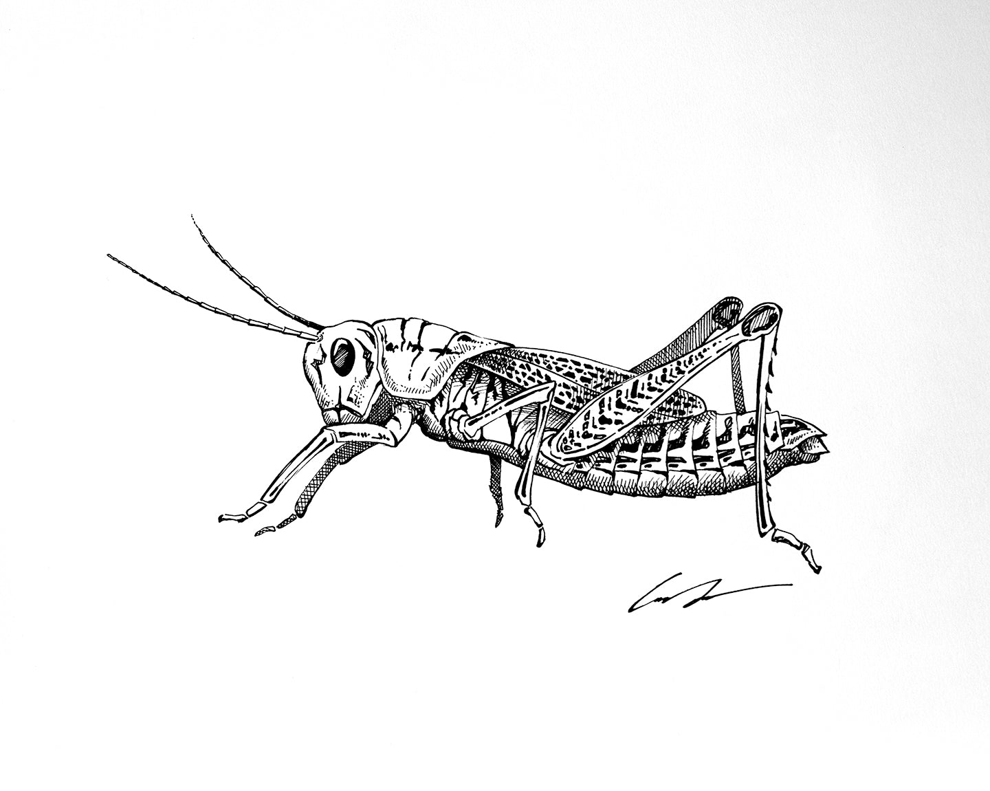 Hopper Fine Art Original