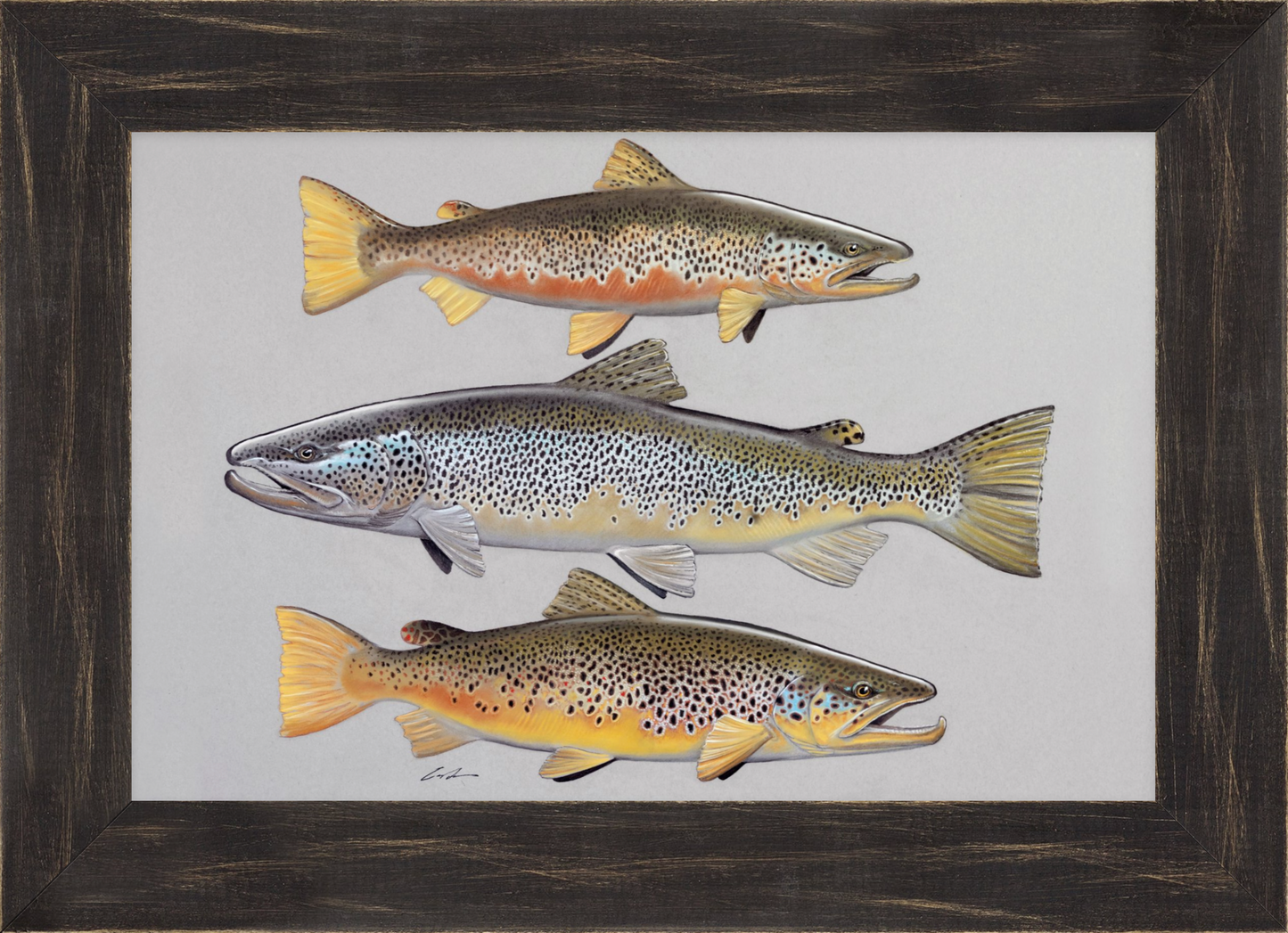 Pastel of three brown trout on top of each other, framed in black rustic frame