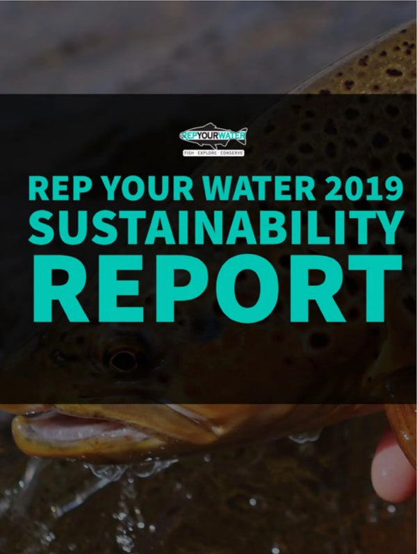 Cover of Rep Your Water 2019 Sustainability Report with a fish in the background