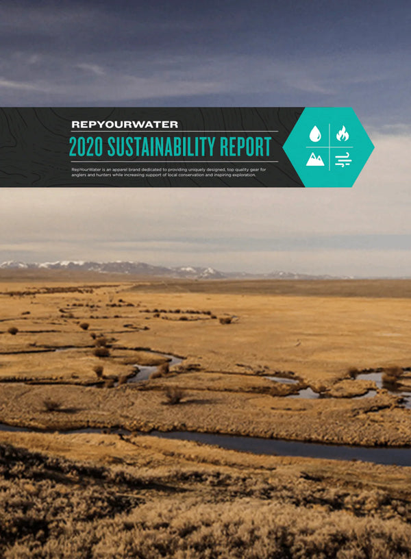 RepYourWater 2020 Sustainability Report cover with a scenic landscape