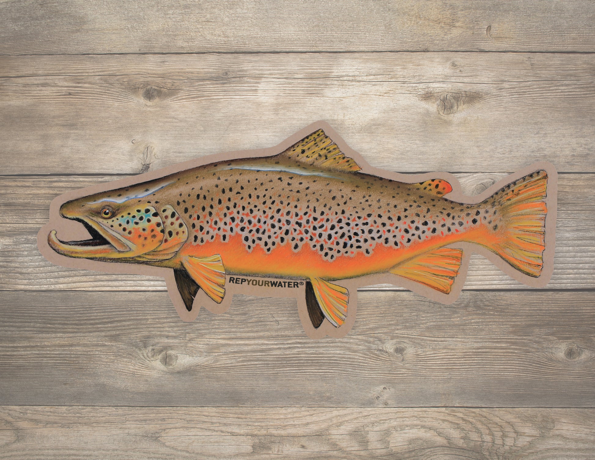 A wood background with the mockup of a sticker on top which is a full color brown trout