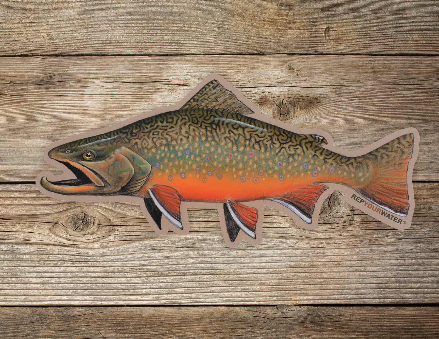 a wooden background with a mockup of a sticker on it. The sticker is a full color image of a brook trout