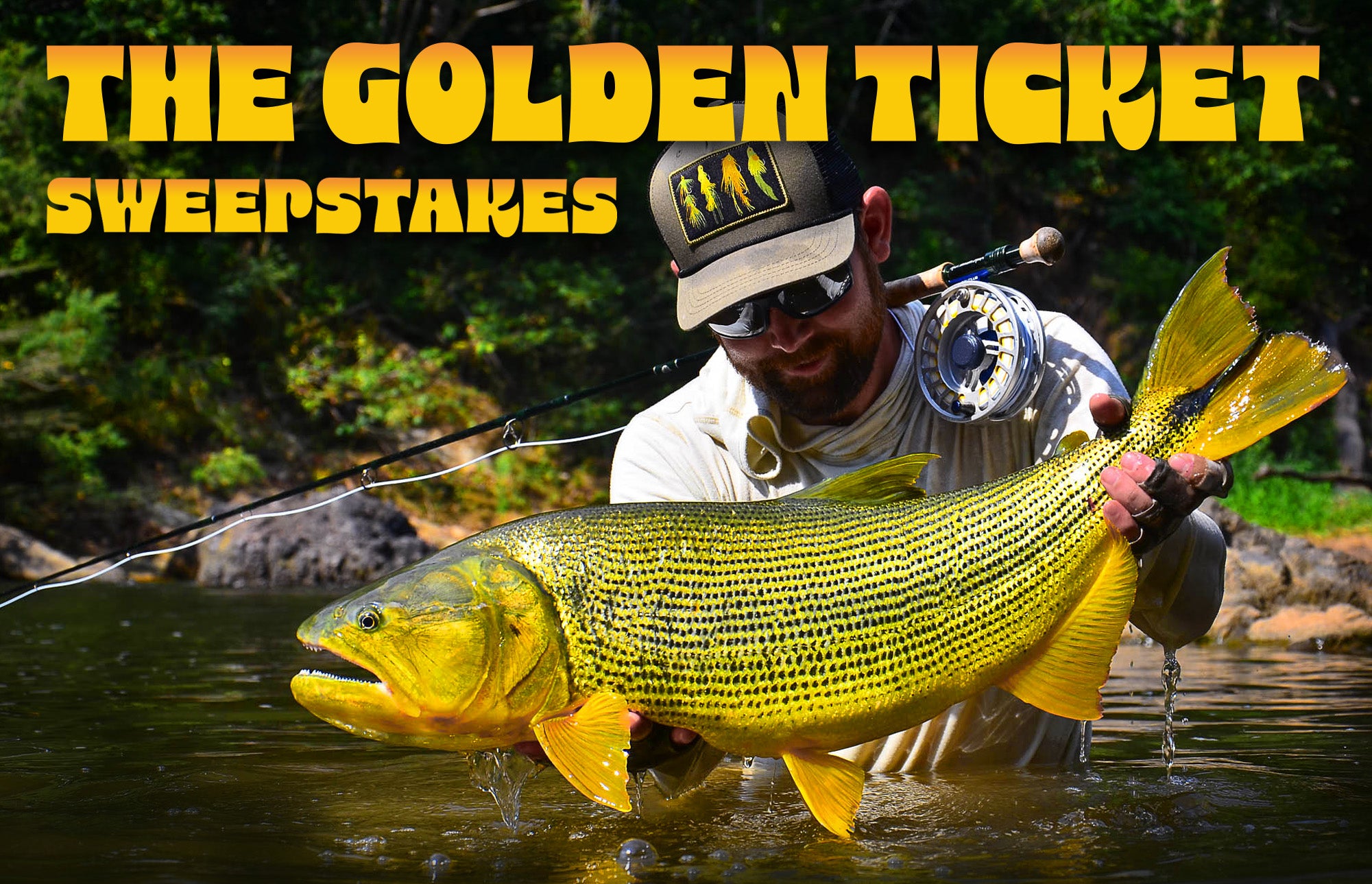 photo of a man holding a golden dorado with the words "the golden ticket sweepstakes" 