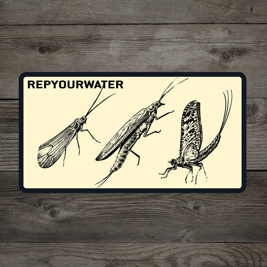 A cream color sticker with black boarder that shows 3 bugs, a caddis, a stonefly, and a mayfly in black pen and ink. with the words rep your water in the upper left corner