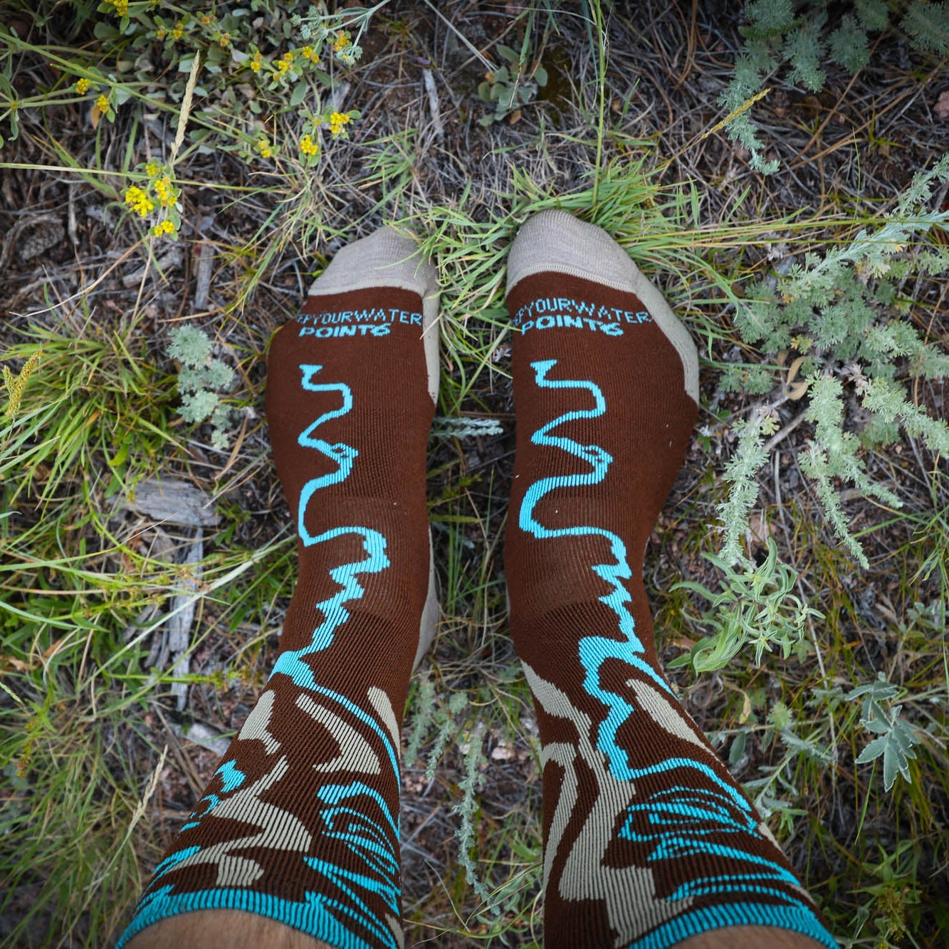 Brown socks boots with blue river designs on a grassy ground