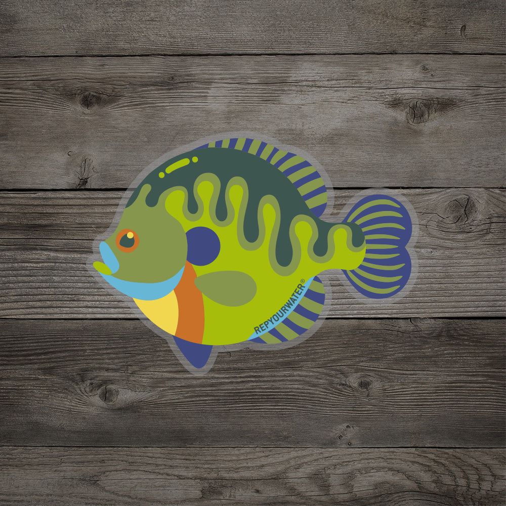 RepYourWater sticker of a colorful blugill fish illustration with green, blue, and orange patterns.