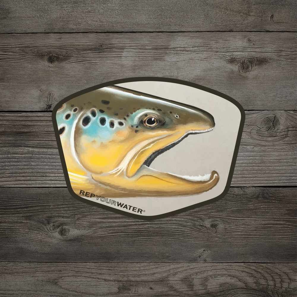 RepYourWater sticker featuring an illustrated trout head in yellow, blue, and brown tones.