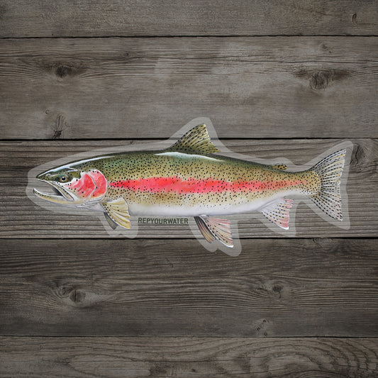 Rainbow trout sticker with "repyourwater" on the border