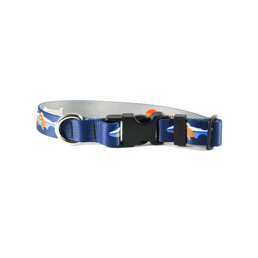 Blue nylon colar with plastic clasp and metal D ring featuring a trout silouhette filled with a sandstone arch design.