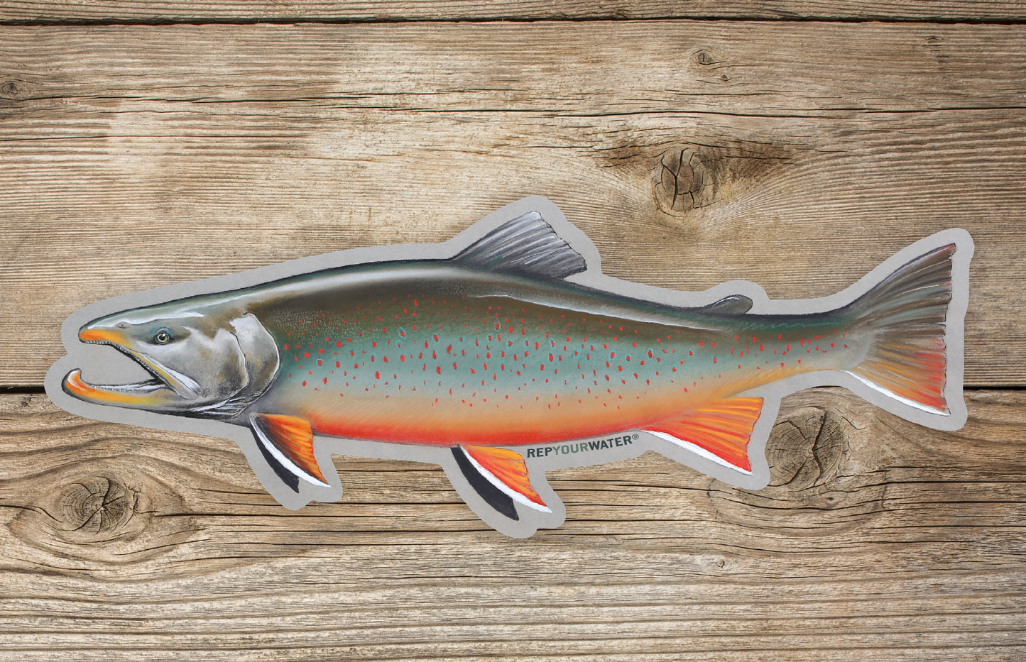 A wood background with a mockup of a sticker showing the full body of an arctic char