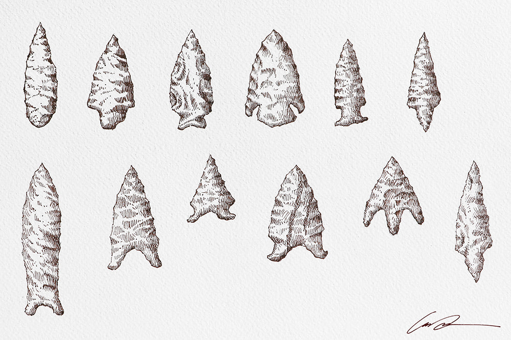 A drawing of stone arrowheads that are in two rows of six each