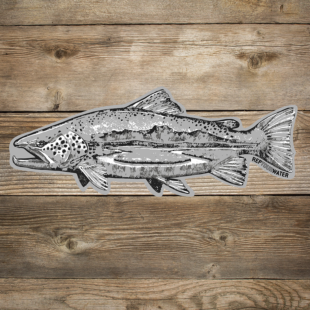 A sticker on a wood background features a black and white drawing of a brown trout with a spring creek inside of it