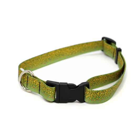 A dog collar with the print of a brook trout on it