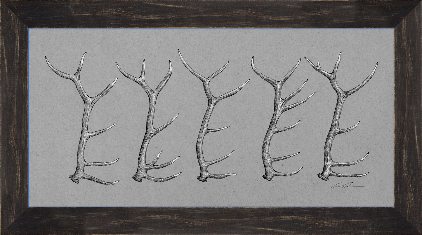 A black and white drawing of of 5 elk antlers on gray paper, framed in a black rustic frame