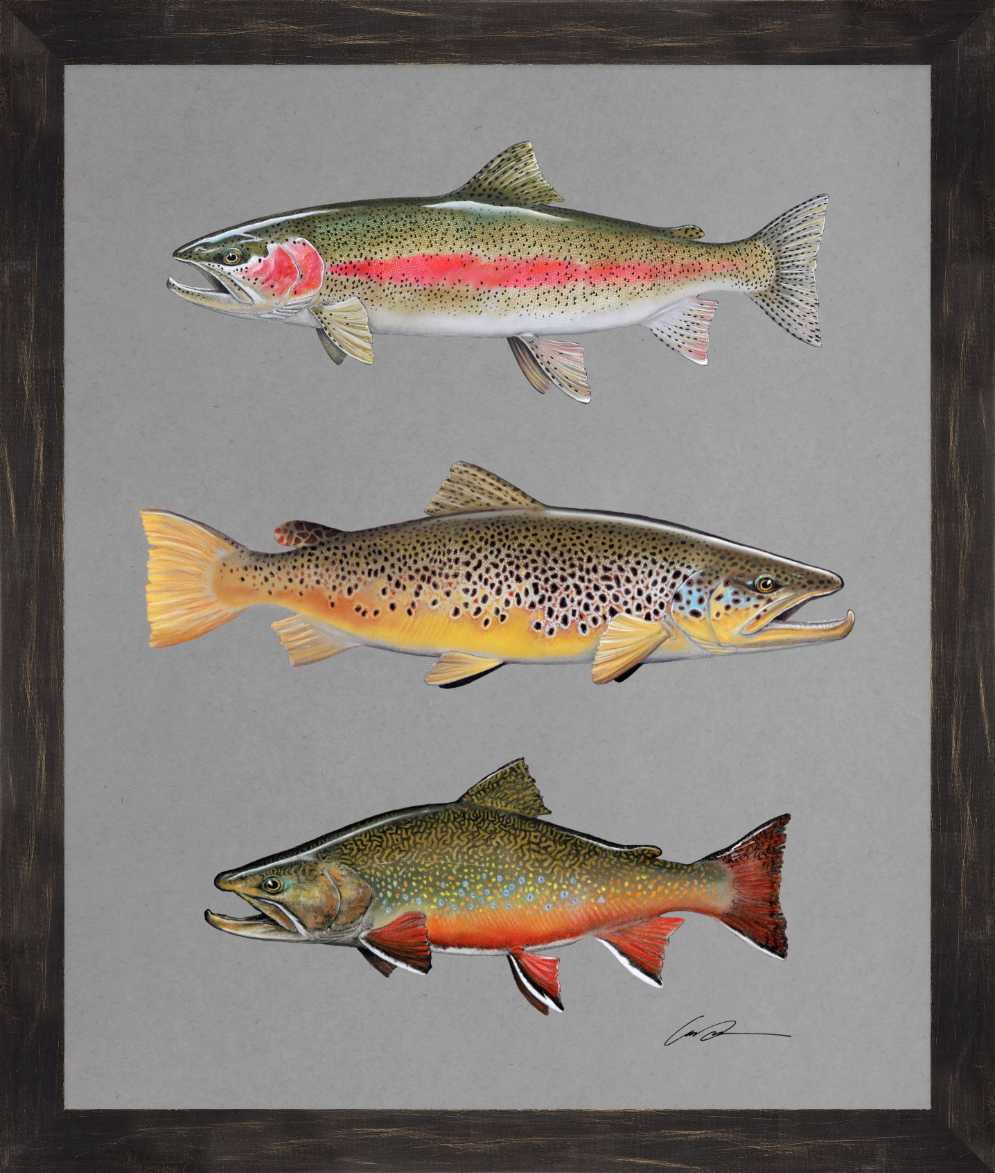 Pastel of a Rainbow Trout at the top, a Brown Trout in the middle, and a Brook Trout at the bottom, framed in a black rustic frame
