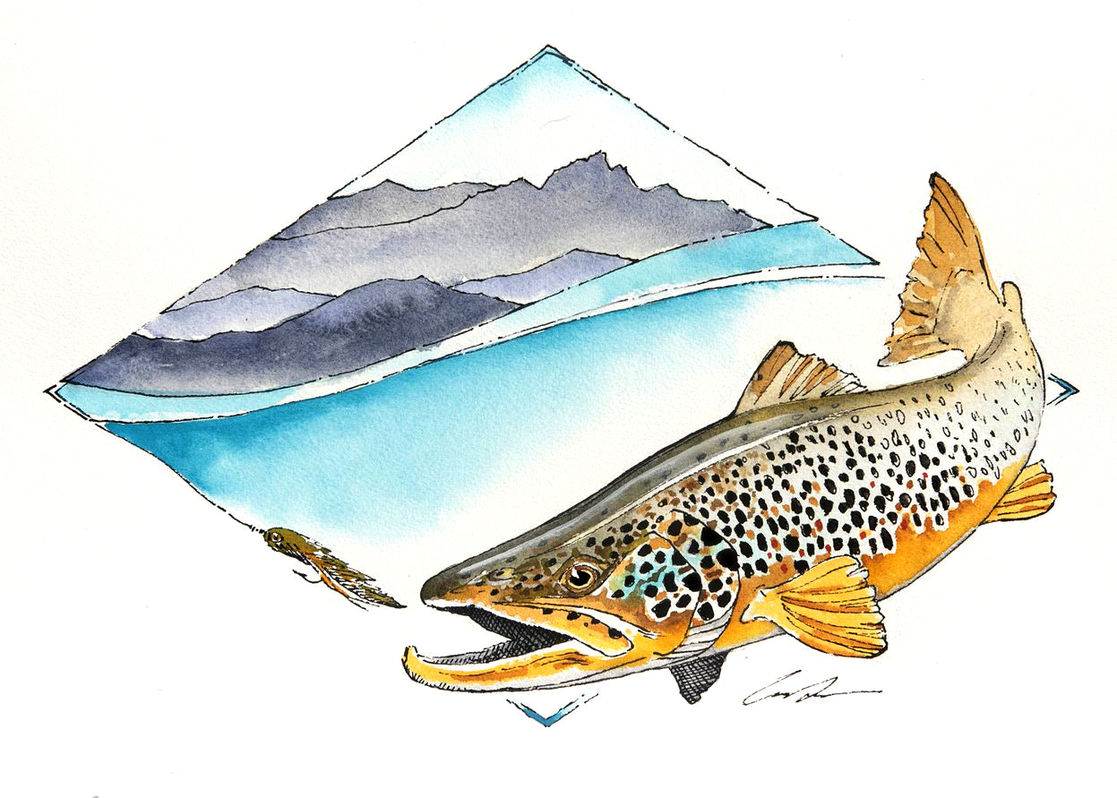 A brown trout is chasing a streamer with mountains in the background which are contained by a diamond shape