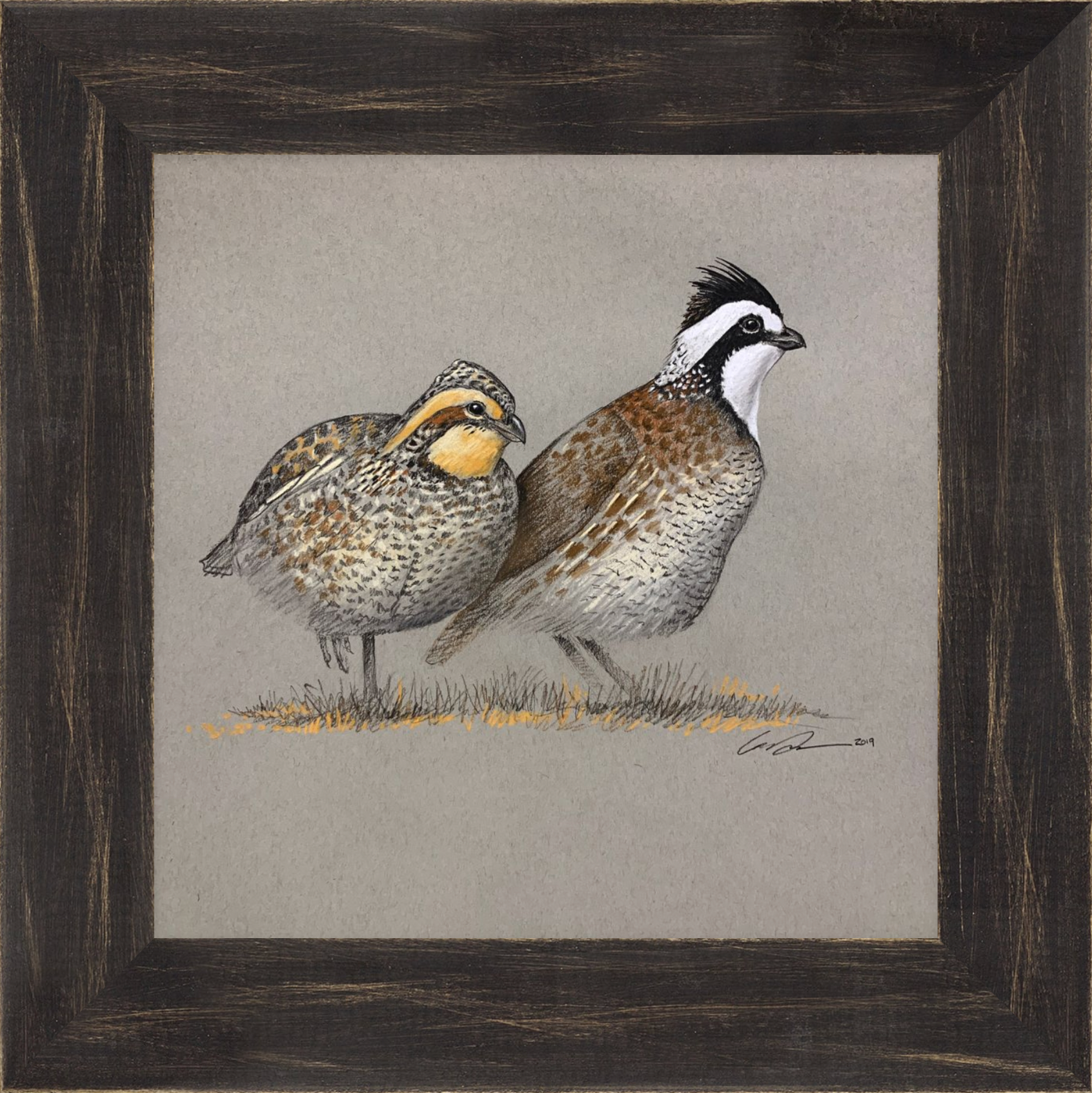 A pastel full color drawing of a male and female bobwhite quail, framed in black rustic frame