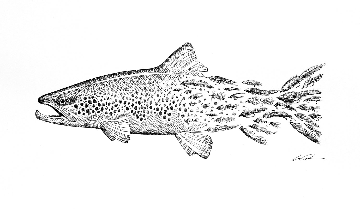 A pen and ink drawing of a brown trout. The spots of the trout fade to flies towards the tail of the fish.