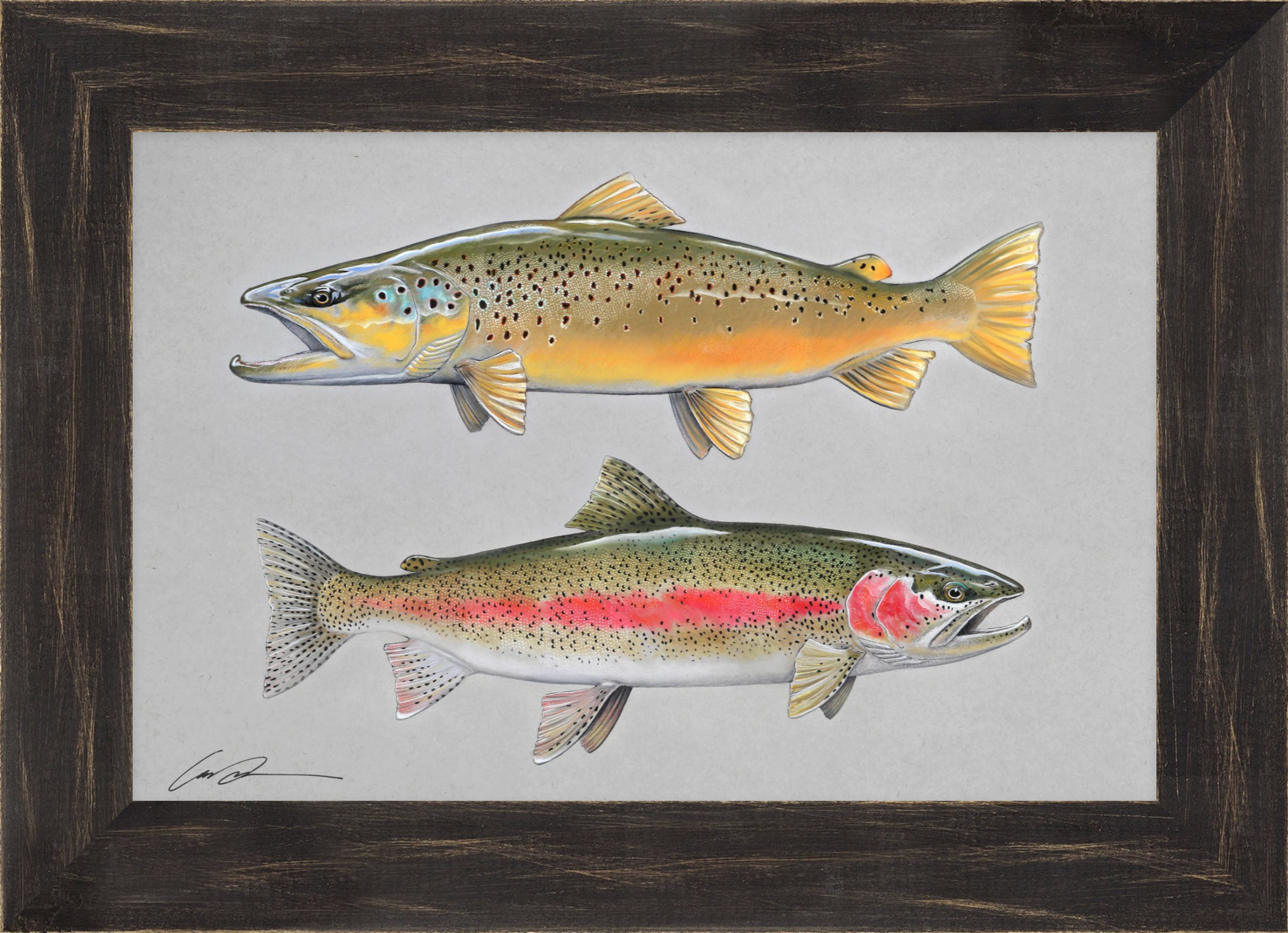 a full color pastel drawing of a brown trout facing left above a rainbow trout facing right, framed in rustic black frame