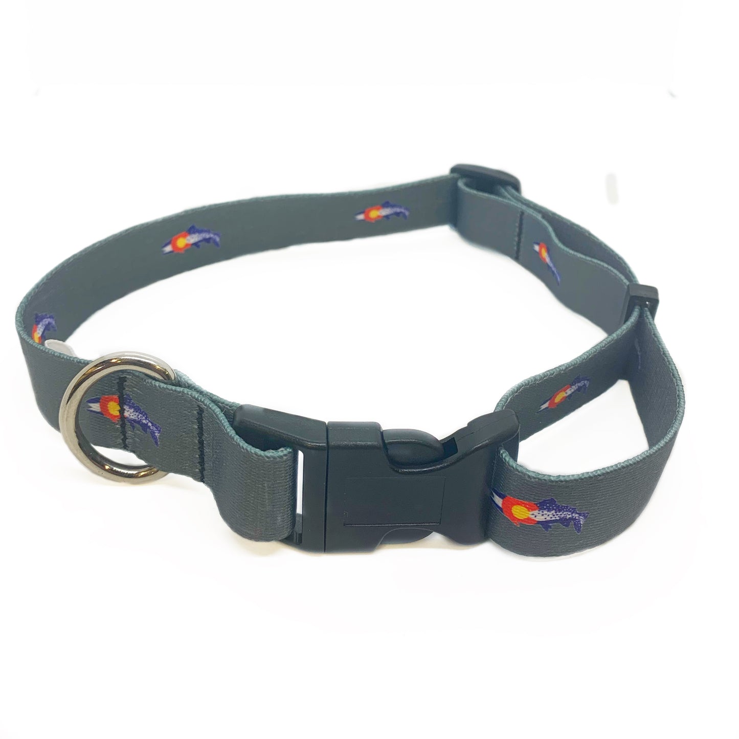 A gray nylon dog collar is shown. Trout in Colorado flag colors are printed on it.