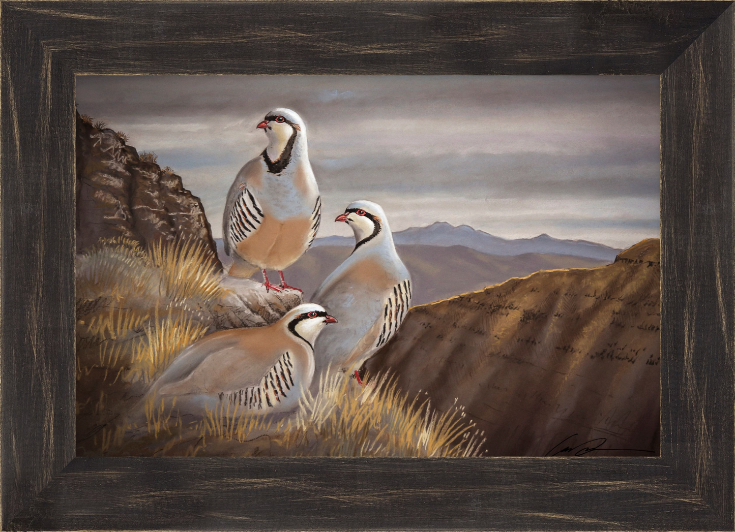 A pastel drawing of three chukar above a large canyon, framed in black rustic frame