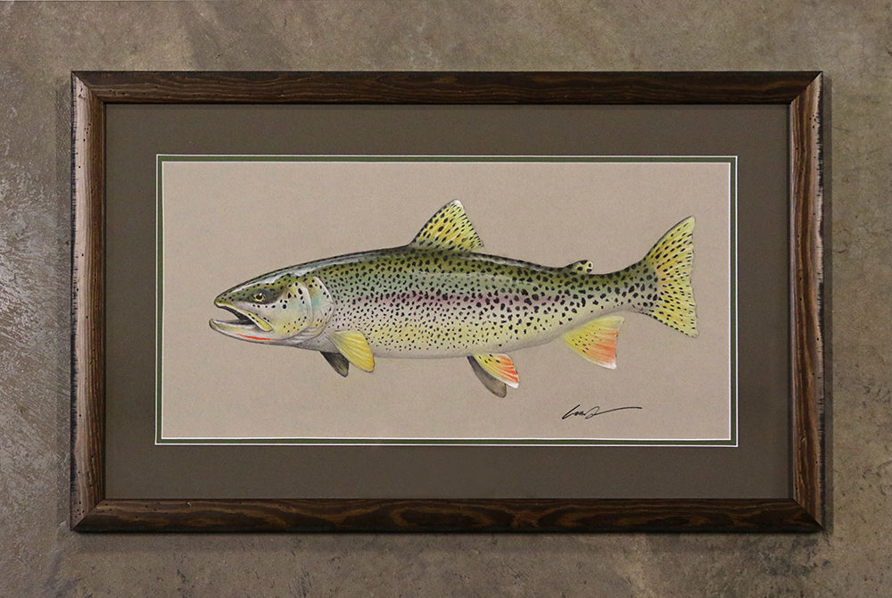 A full color drawing of a coastal cutthroat trout on gray paper has framed with a wood frame