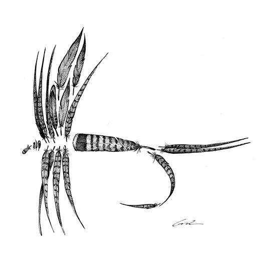 Feather Fly Fine Art Print