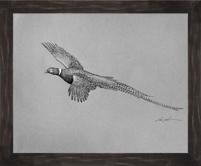 Pen and ink of flying pheasant, framed in black rustic frame