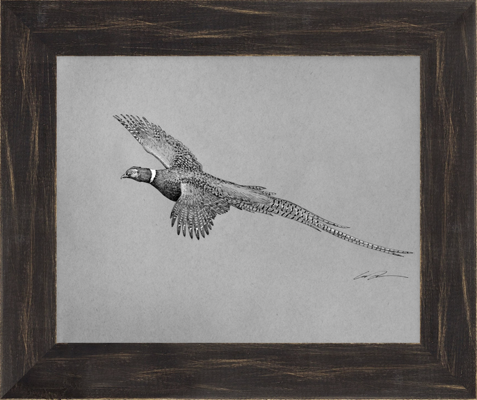 Pen and ink of flying pheasant, framed in black rustic frame