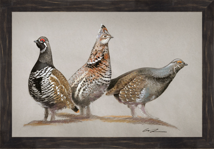 A pastel drawing of three grouse on gray paper, framed in black rustic frame