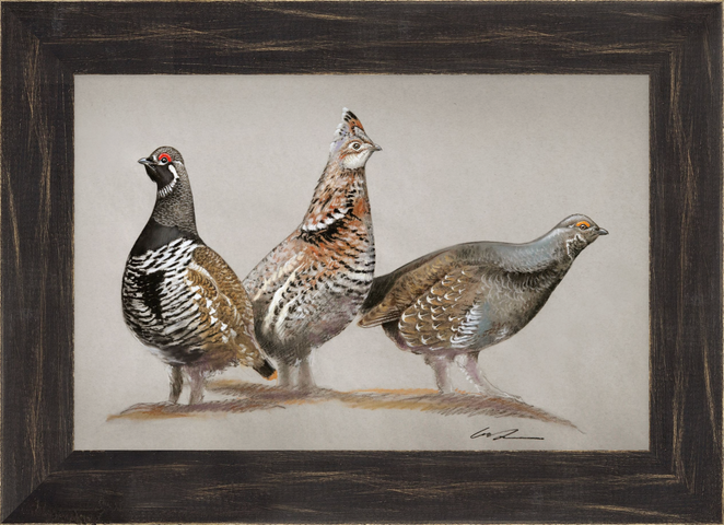 A pastel drawing of three grouse on gray paper, framed in black rustic frame