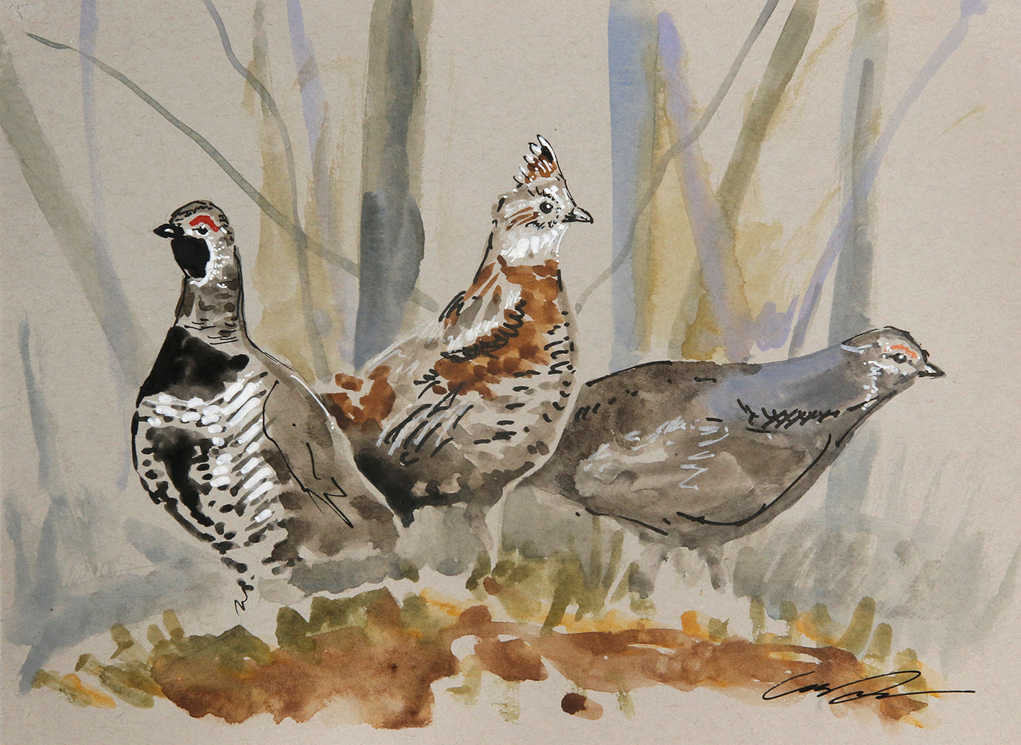 A mixed media sketch of three forest grouse.
