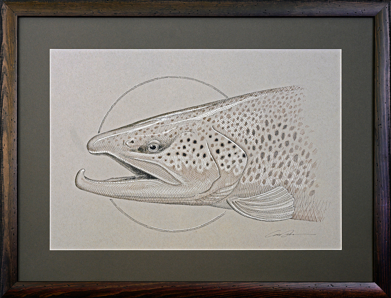 A pen and ink drawing of a brown trout head on toned gray paper. The trout has a circle behind his head. The drawing is framed with a distressed wood frame and earthy green mat.
