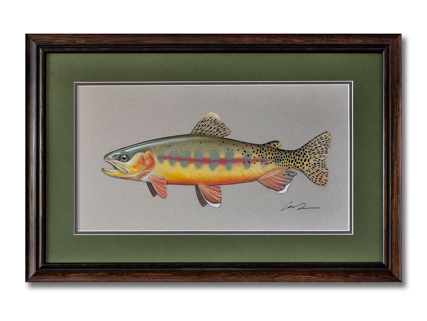 A pastel drawing of a Golden Trout on toned gray paper. Framed with wooden frame and green mat.