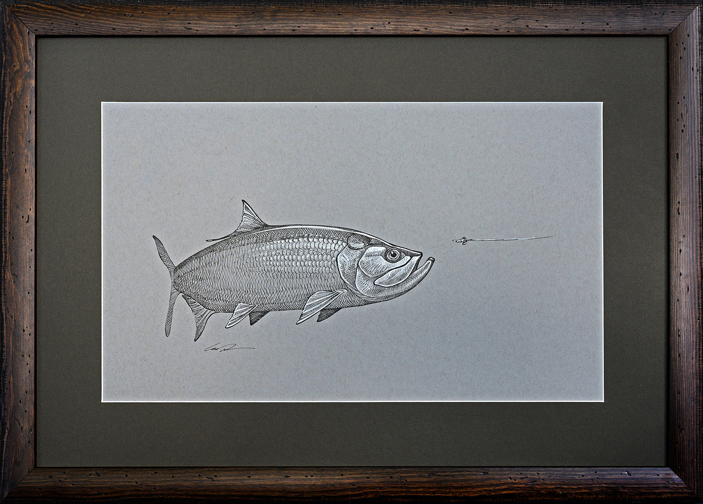 A black and white pen drawing on toned gray paper of a tarpon turning to eat a fly. Framed with a wooden frame and matted with a green mat.
