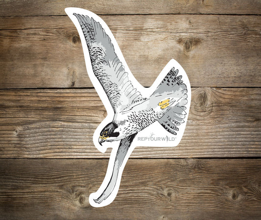 A wood background has a sticker of a peregrine falcon in flight with the words repyourwild underneath it