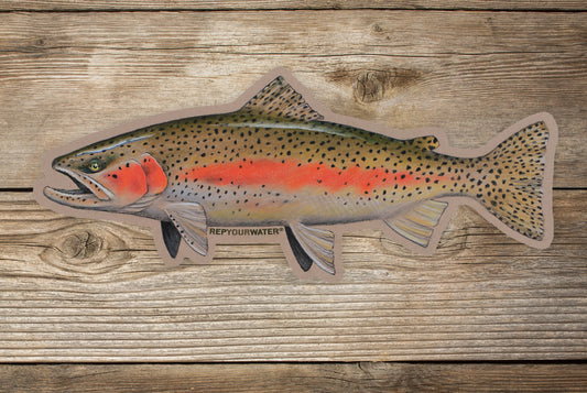 A sticker of a rainbow trout is on a wood background
