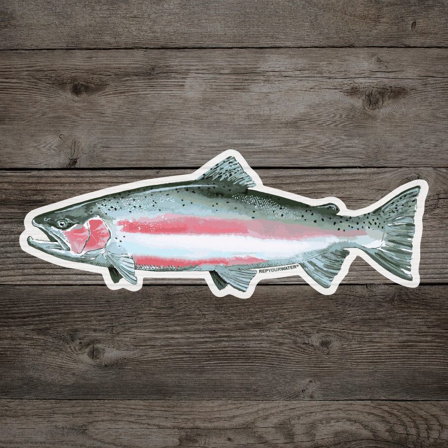 A sticker of a steelhead trout is on a wood background