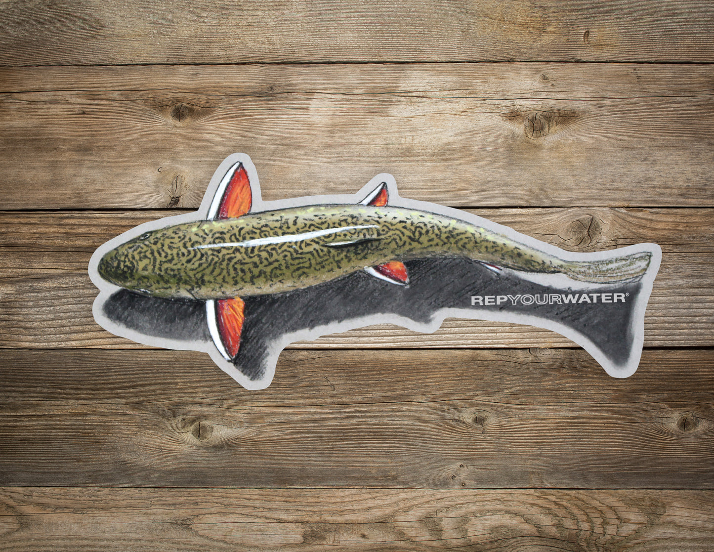 A wood background has a sticker on it that features a brook trout and its shadow from above