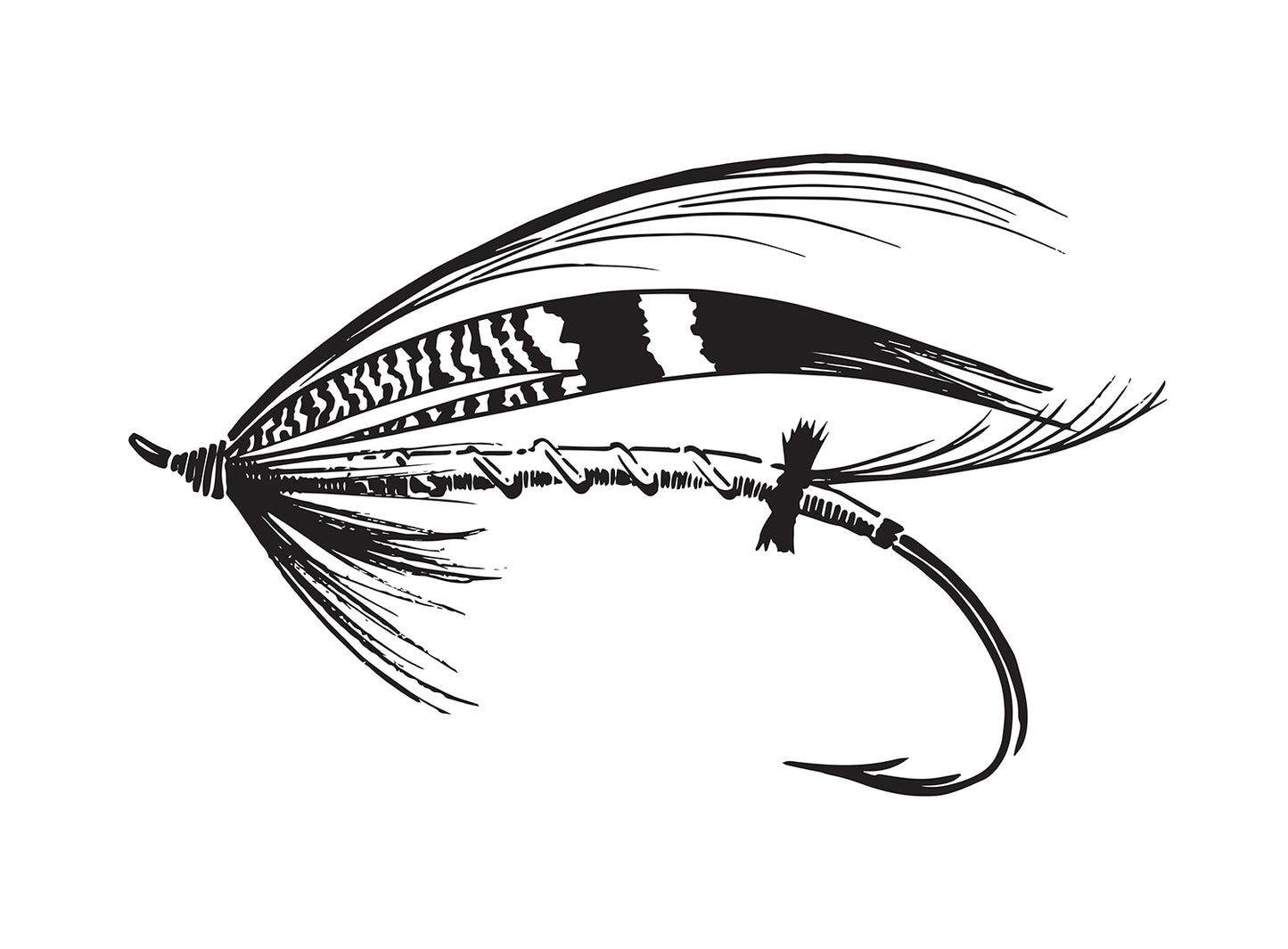A black and white drawing of a traditional salmon fly