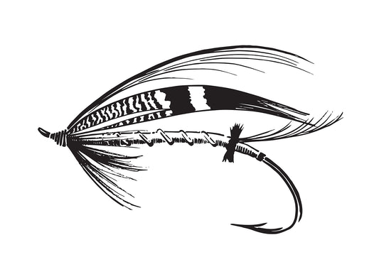 A black and white drawing of a traditional salmon fly