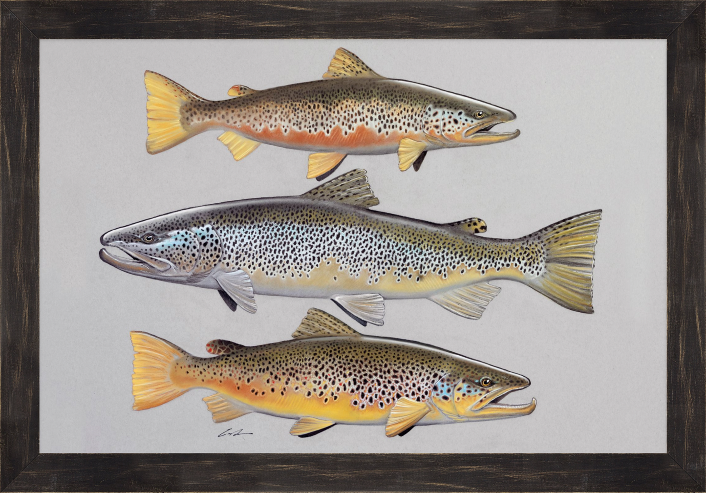 Pastel of three brown trout on top of each other, framed in black rustic frame
