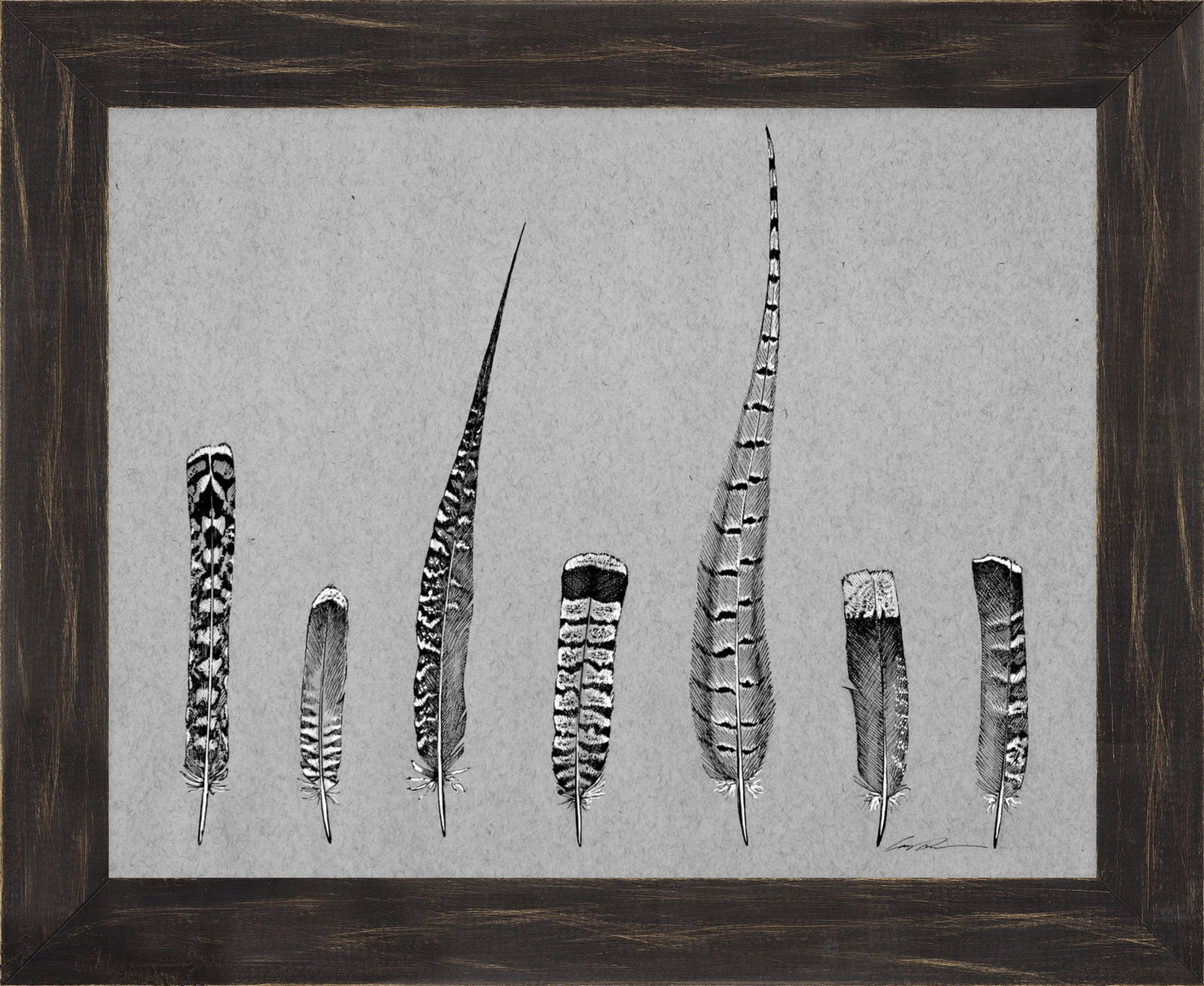 A black and white drawing of 7 upland bird feathers on gray paper, framed in a black rustic frame